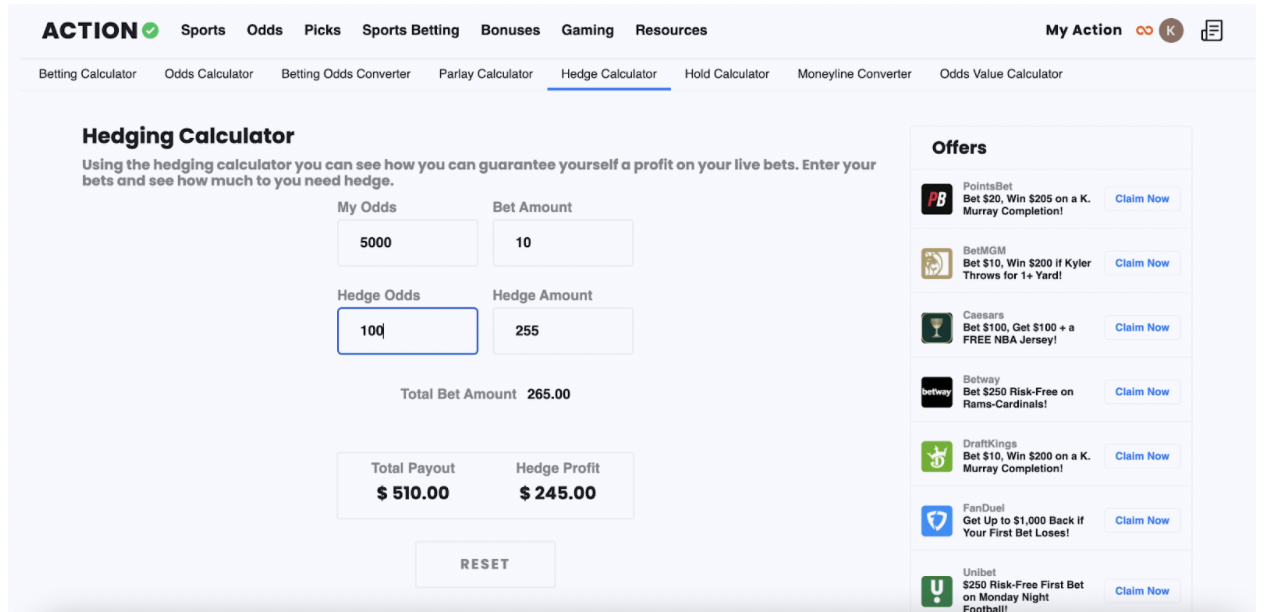 Hedging_Calculator__2.png