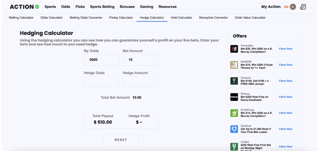 Hedging_Calculator__1.png